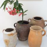 Old planter charentais ear