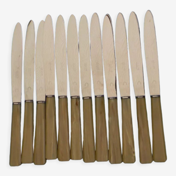 Lot de 12 couteaux lame inox