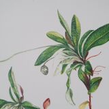 Set of 3 botanical plates "Yellow"- LPR22051B