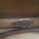 Chaise bistrot Thonet