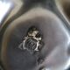 Black ceramic trinket bowl 1950
