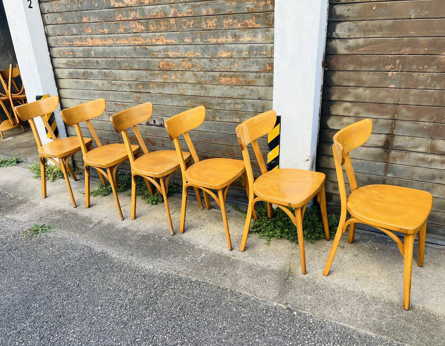 (Lot) 6 Bistro Chairs Lutherma Banana (Light Oak)