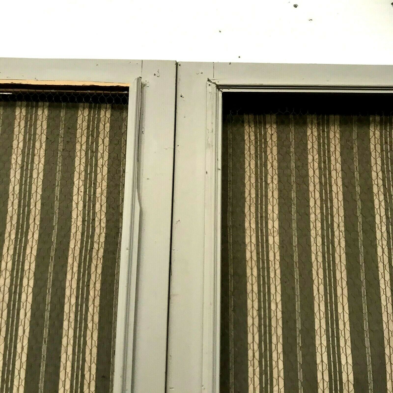 Double closet doors Paneled and screened 20th century