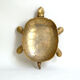 Brass turtle pocket tray