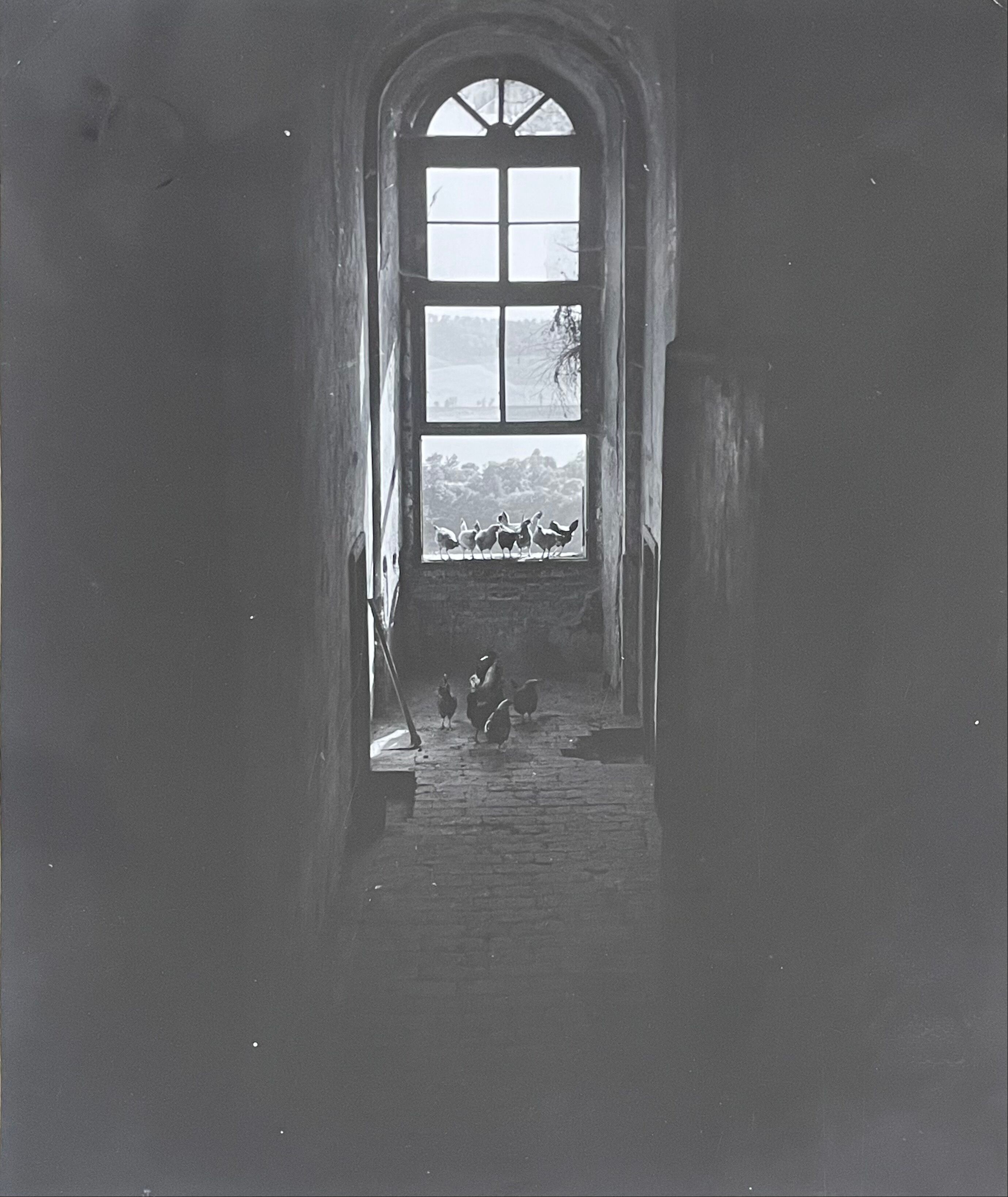 Old black and white silver photography early twentieth century