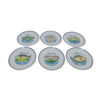 6 assiettes en porcelaine d'auteuil signée Jacques Lobjoy