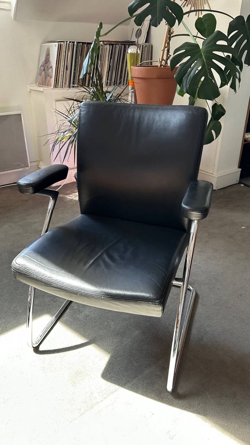 Walter Knoll Dining Chair - armchair / Leather and chrome chair