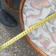 Pair old ottoman stools foot rest round wicker vintage rattan