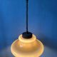 Mid Century Herda mushroom suspension