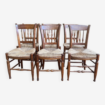 Suite of 6 rustic chairs mulched 19th