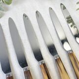 Set of 6 vintage horn table knives