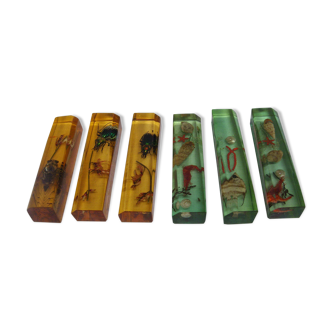 6 knife-wielding vintage insect inclusion