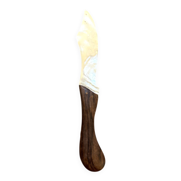 Cuillère en Nacre