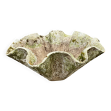 Biomorphic planter by Willy Guhl, 1960