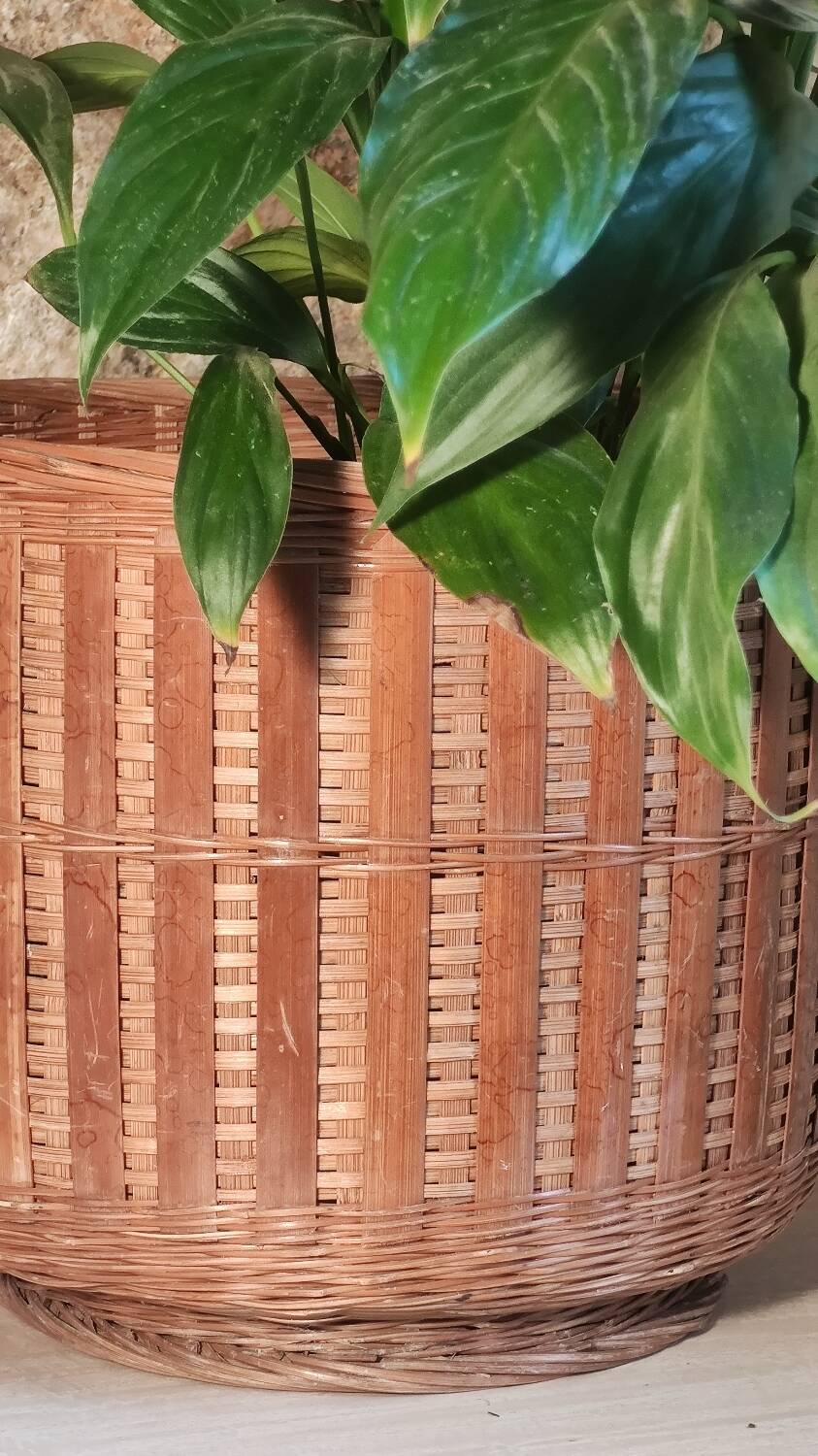 Rattan plant pot