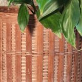 Rattan plant pot