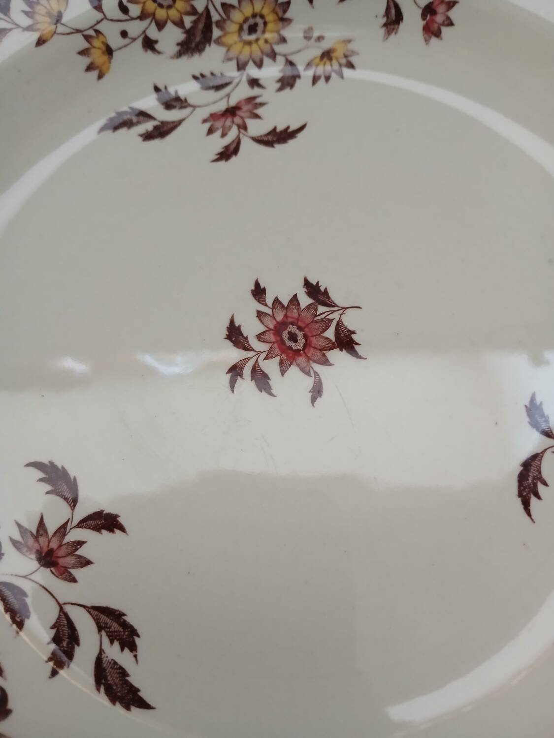 6 polychrome ironstone soup plates