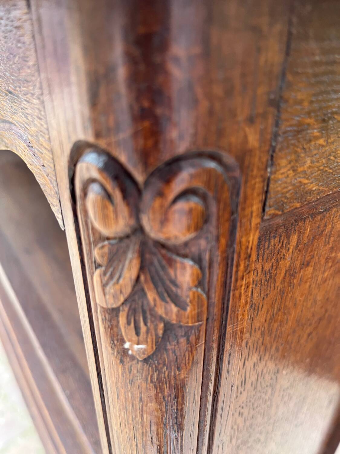 Bibus bookcase in carved wood