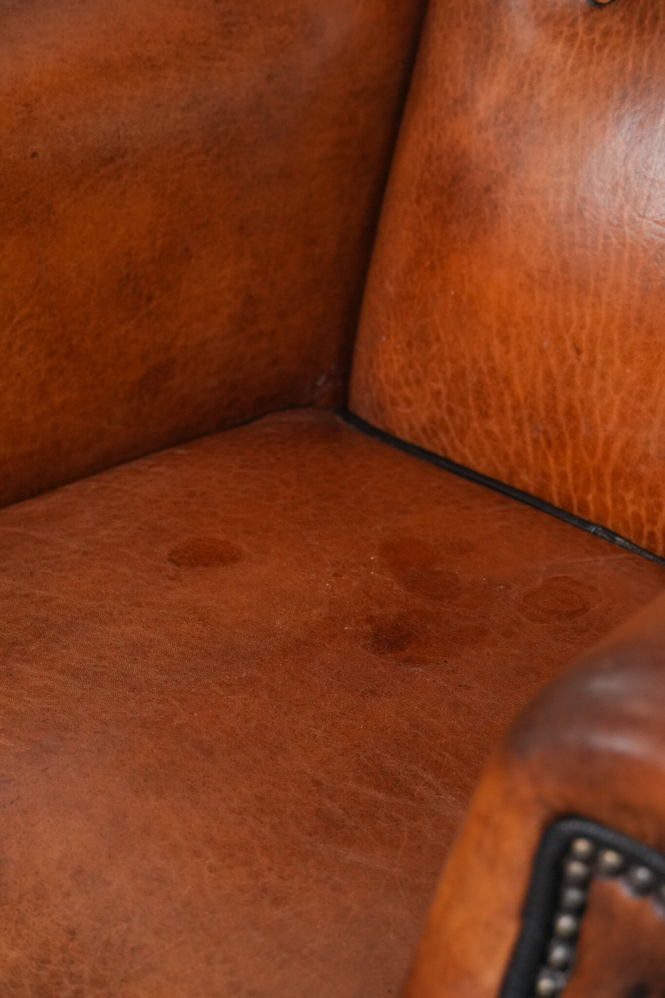 Wingback chair made of sheep leather with black piping in good condition