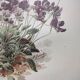 Affiche botanique ancienne - Viola - Gravure de fleur 1899 vintage