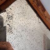 Antique bamboo wardrobe with mirror — exotic style, late 19th century