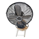 Cinni fan