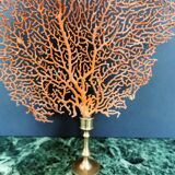 Gorgon Rouge, Brass base (Early XXth) 33*23 cm