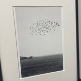 Over the sea - Marseille