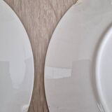 2 Villeroy and Boch Paradiso dinner plates