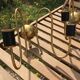 Pair of vintage wall lamps