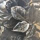 Painting old stauffacher roses, realistic