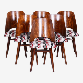Ensemble de six chaises en hêtre du milieu du siècle, Oswald Heardtl, restauré, Tchéquie, années 1950