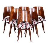 Ensemble de six chaises en hêtre du milieu du siècle, Oswald Heardtl, restauré, Tchéquie, années 1950