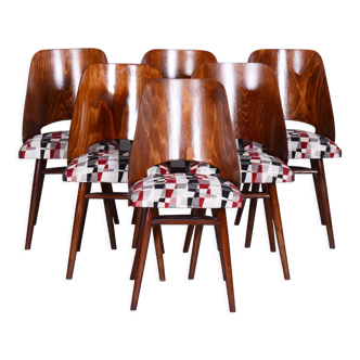Set of Six Mid-Century Beech Chairs, Oswald Heardtl, Restored, Czechia, 1950s