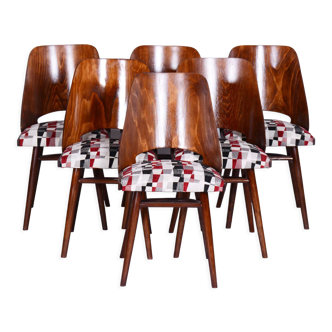 Ensemble de six chaises en hêtre du milieu du siècle, Oswald Heardtl, restauré, Tchéquie, années 1950