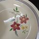 Lot de 6 assiettes demi creuses anciennes Salin France "Martine"