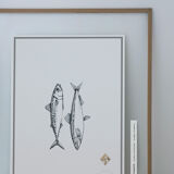 "Mackerel and Sardine"