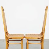 Set of 2 light brown bentwood Thonet style chairs model "Long John"