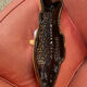 Moule poisson