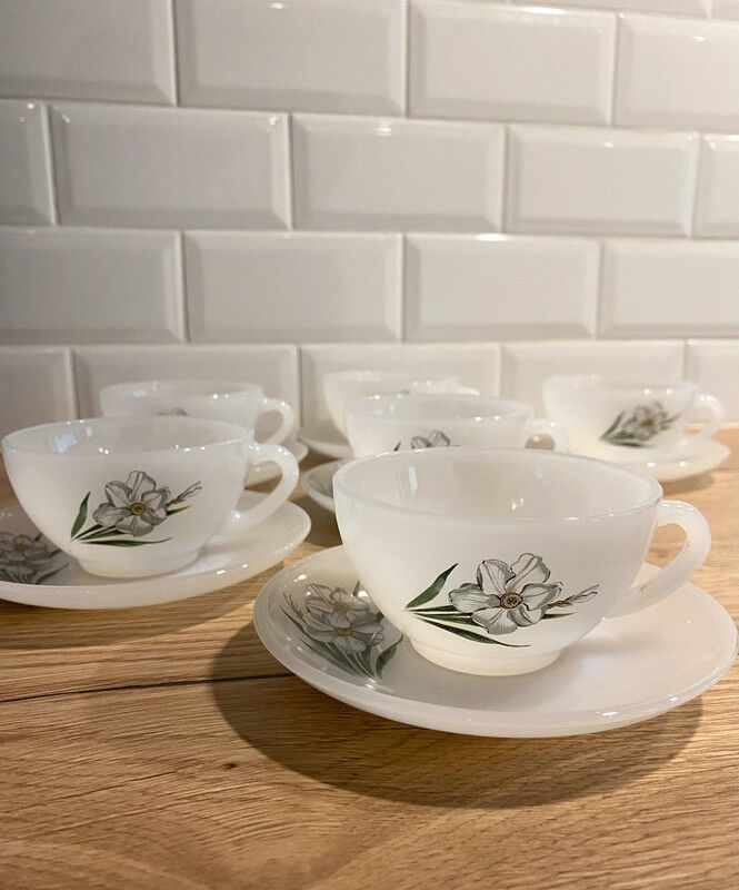 6 tasses et sous tasses Arcopal
