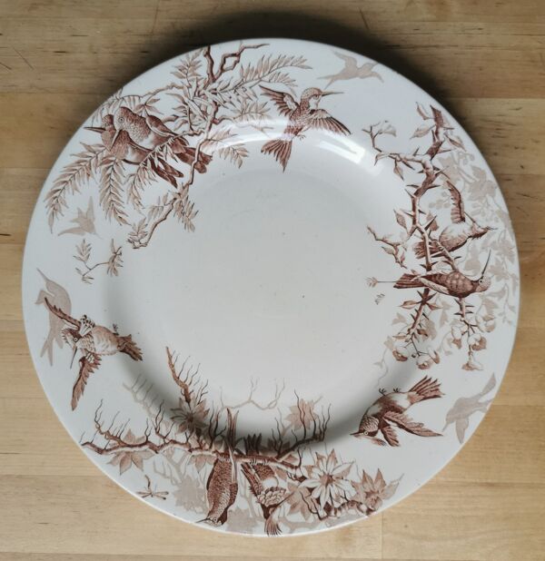 Lot de 8 assiettes Colibri Luneville