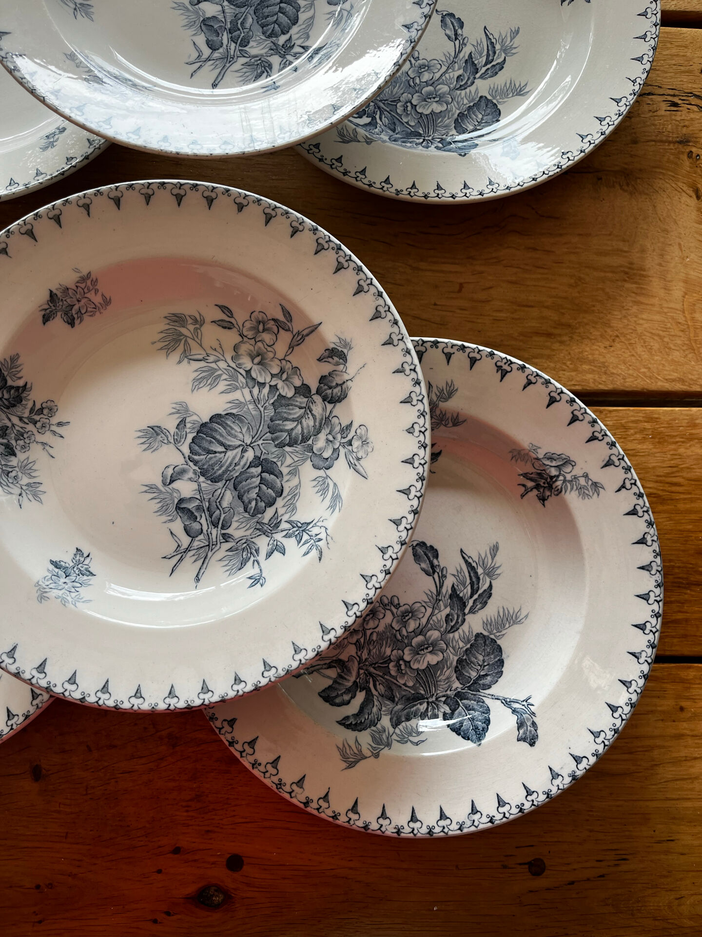 6 assiettes terre de fer 