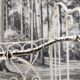Bed, wrought iron bench