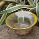 Glass cup blown Guillaume Domise Halle du Verre