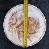 Iron clay soup plates