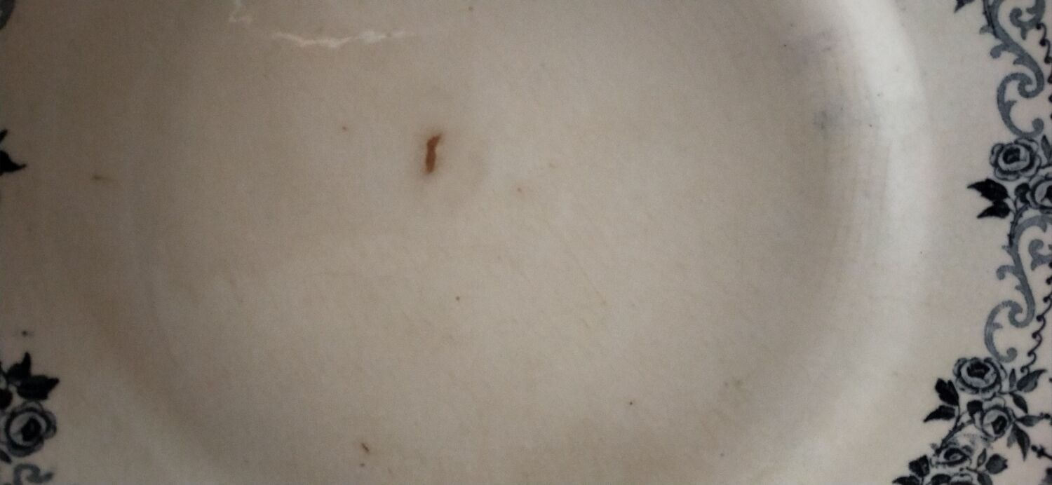 Set of two Terre de fer Parmentier hollow plates