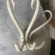 Coat rackwall vintage parrot