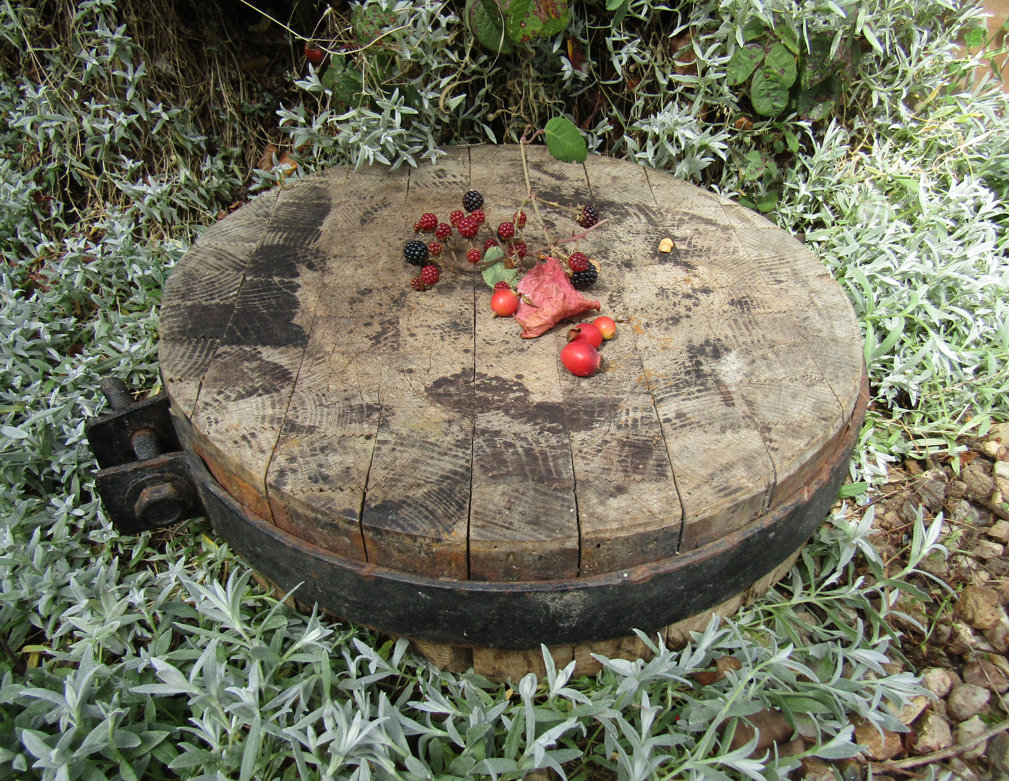 Former butcher's ball popular art