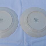 2 Villeroy & Boch dessert plates, wildflower model, diameter 19 cm