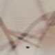 DAR armchair by Charles & Ray Eames Vitra edition